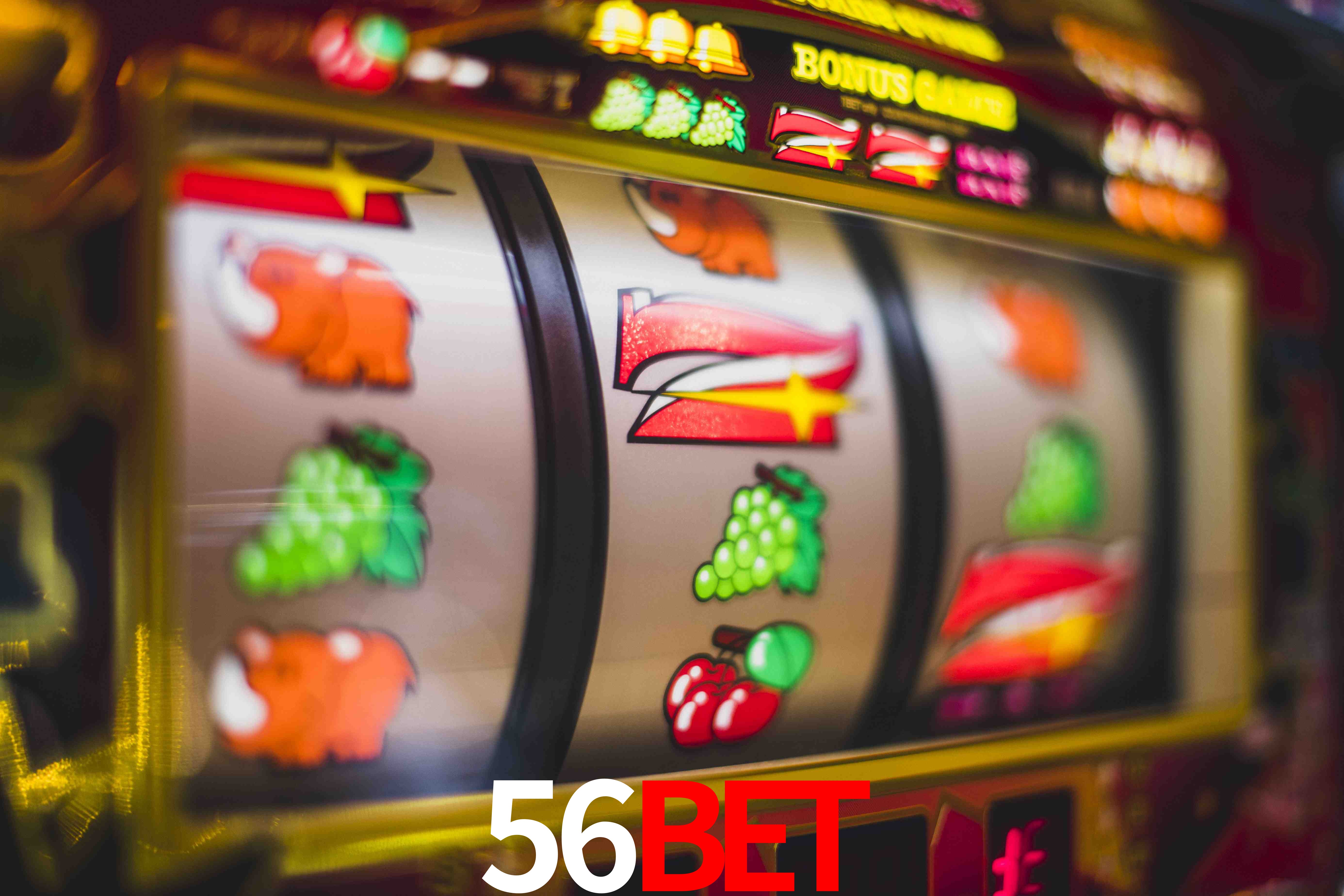 Sports Statistics 56Bet
